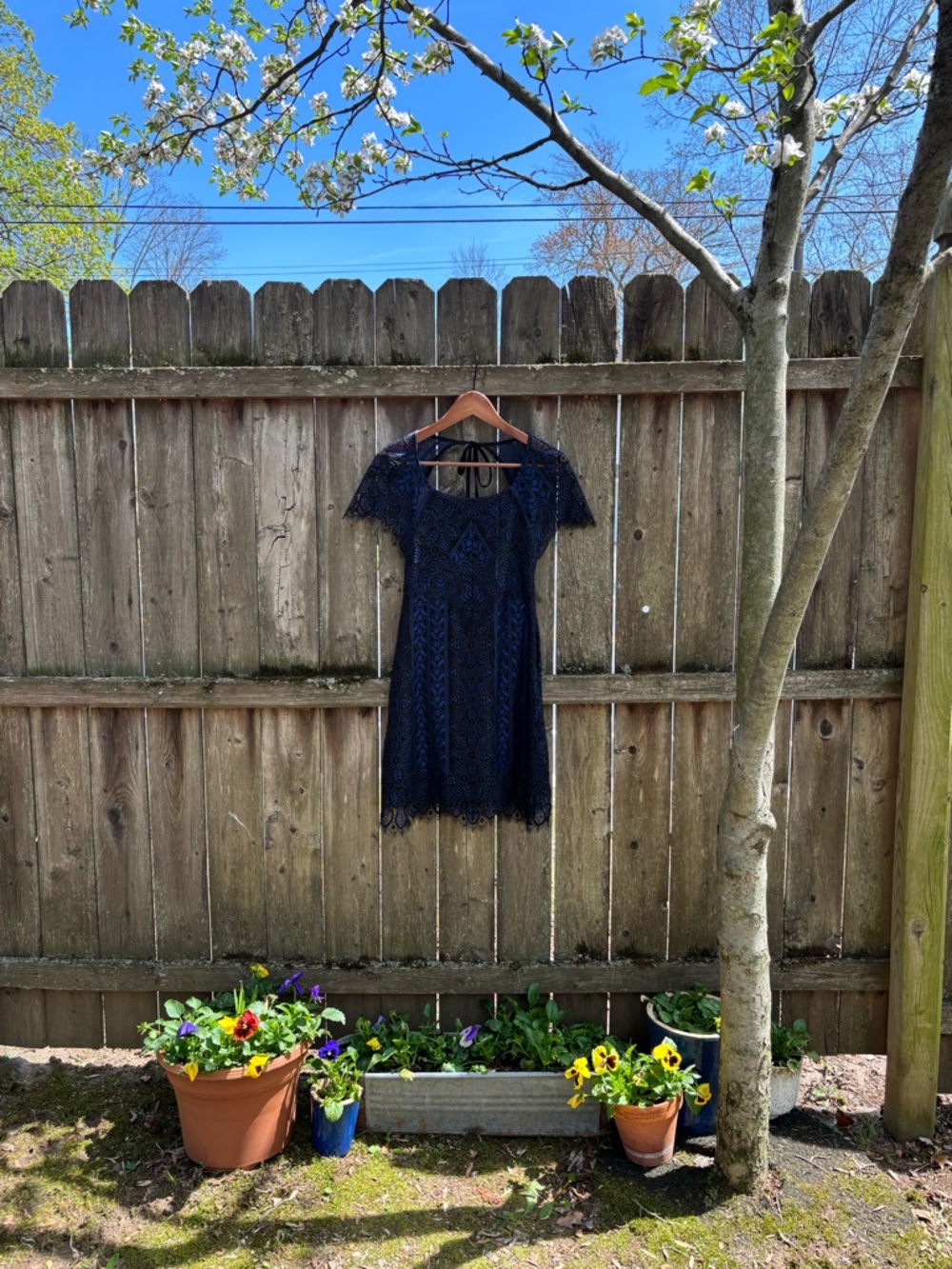 For Love & Lemons Dark Blue Lace Short Sleeve Mini Dress